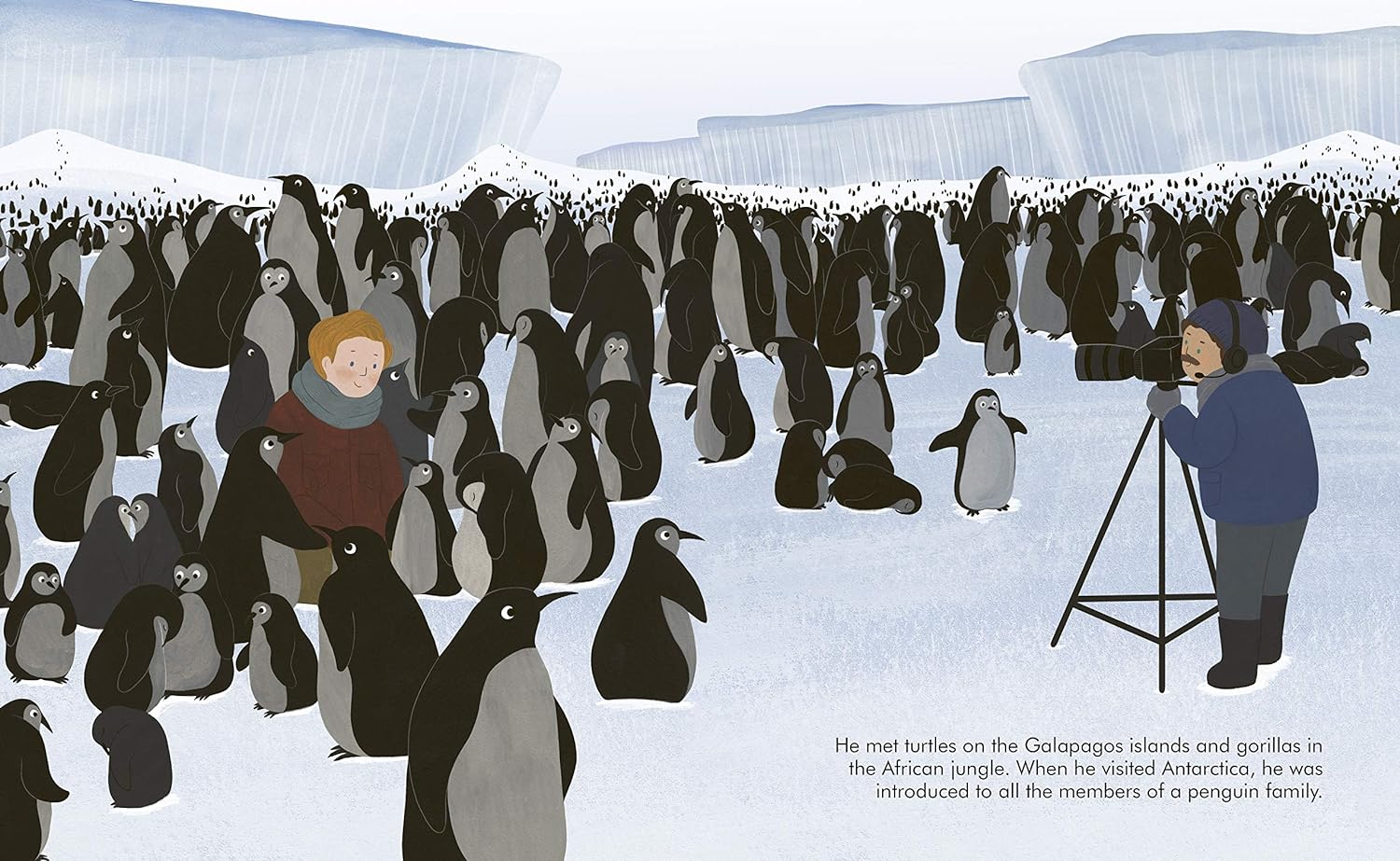 David Attenborough (Little People, Big Dreams): 40 image number 4