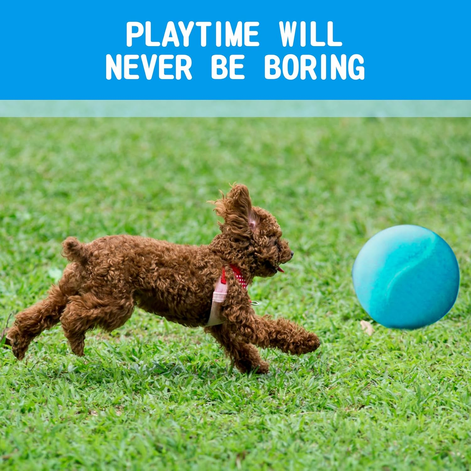 Susu & Wuwu Giant Tennis Ball for Dogs Yellow Big Tennis Ball for Dog Birthday Gift 9.5" Pet Toy Balls for Small/Medium/Large Dogs - Orange image number 6