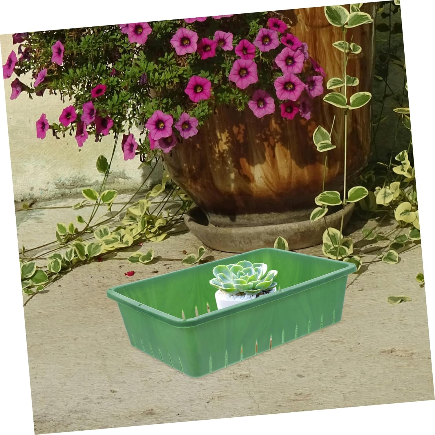 BEBEMOKO Breathable Seedling Tray and Sprout Growing Tray for Indoor Gardening Small 26X18X7Cm 2Pcs Suitable for Succulents and Seed Germination image number 5