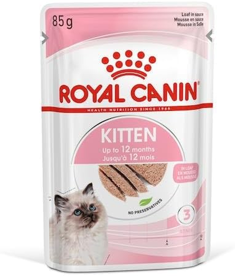 Royal Canin Kitten in Loaf Pate Pouches Wet Cat Food 85 GMS 12 Pack