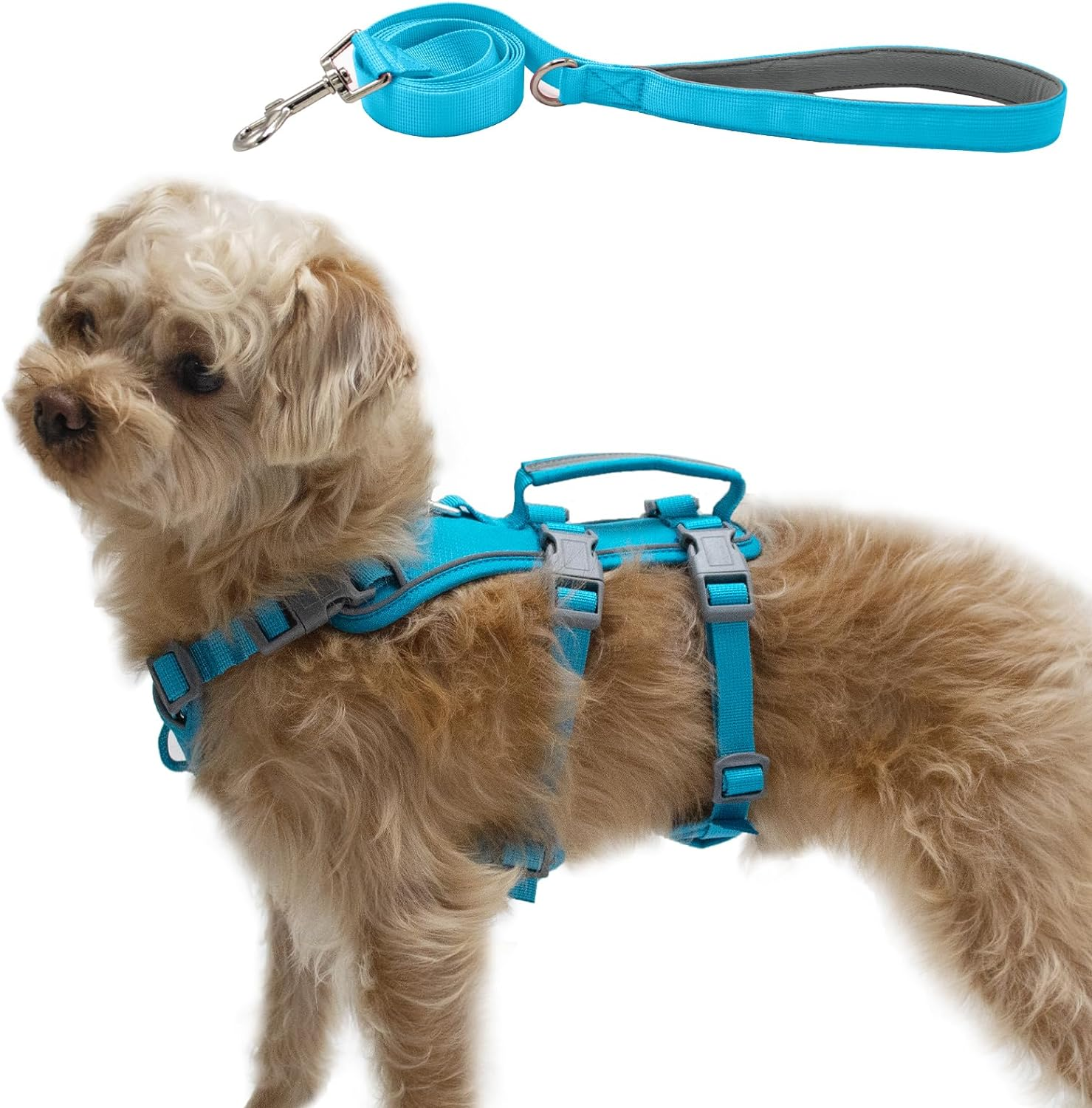 Escape Proof Dog Harness and Leash Set, Lightweight Dog Harness with Lift and Assist Handle, No Pull Reflective Pet Vest for Small Medium Dogs, Ideal for Puppy Walking and Training (Blue, XS)