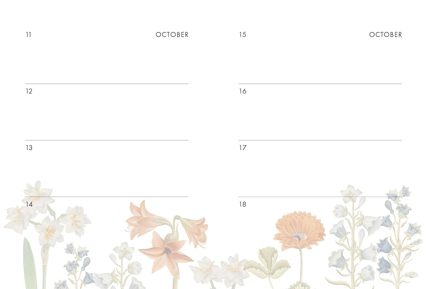 Rhs Birthday Book image number 4