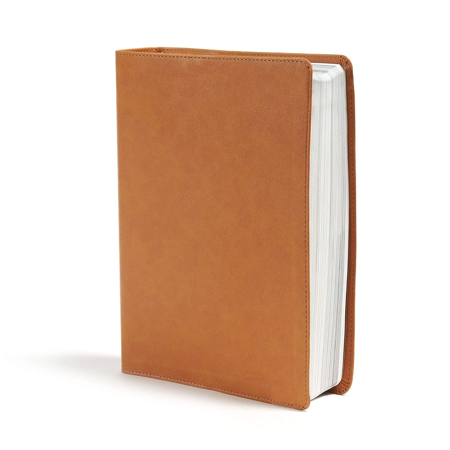 CSB Holy Land Illustrated Bible, Ginger Leathertouch image number 3