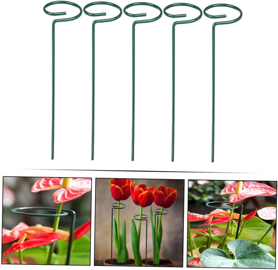 Yardwe Flower Support Stakes Pack Plant Supports for Climbing Stems Gardening Tool image number 3