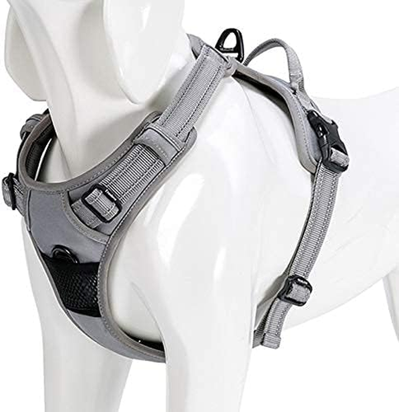 WINHYEPET Truelove Dog Harness No-Pull Reflective Adjustable Pet Harness with 2 Lead Clips, Easy Control Handle for Small, Medium and Large Dogs, TLH5651