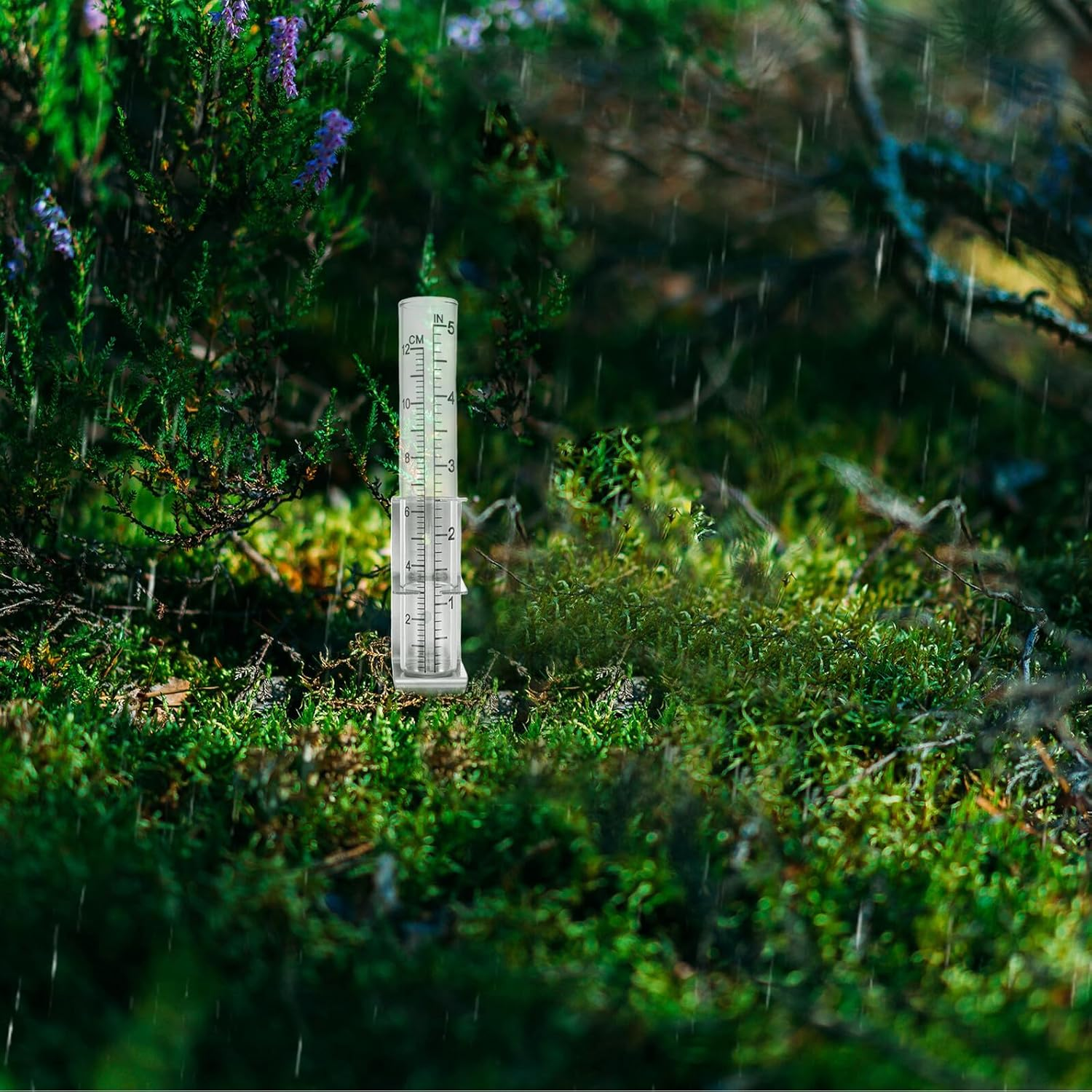 Stainless Steel Rain Gauge Bracket with Glass Measuring Device for Outdoor Patio Garden Weather-Resistant Rain Measuring Tool with Secure Mounting for Accurate Rainfall Readings image number 4