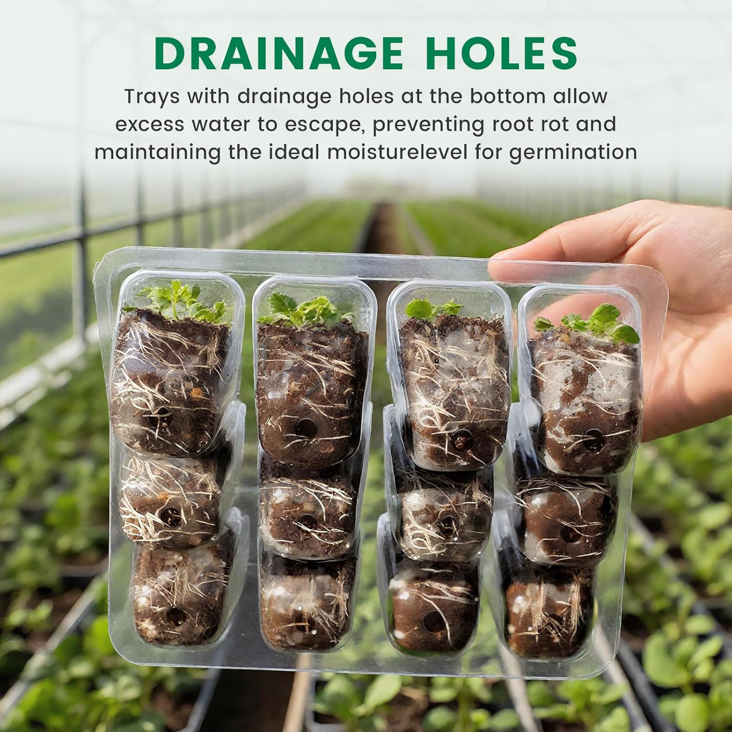 Bonlux 5 Packs Seed Starter Tray with Plant Light, Elevated Seedling Starter Trays Kits with Adjustable Humidity Domes and Clear Cell Tray, 4 Full Spectrum Led Lamp Beads for Plants Indoor-Green image number 2