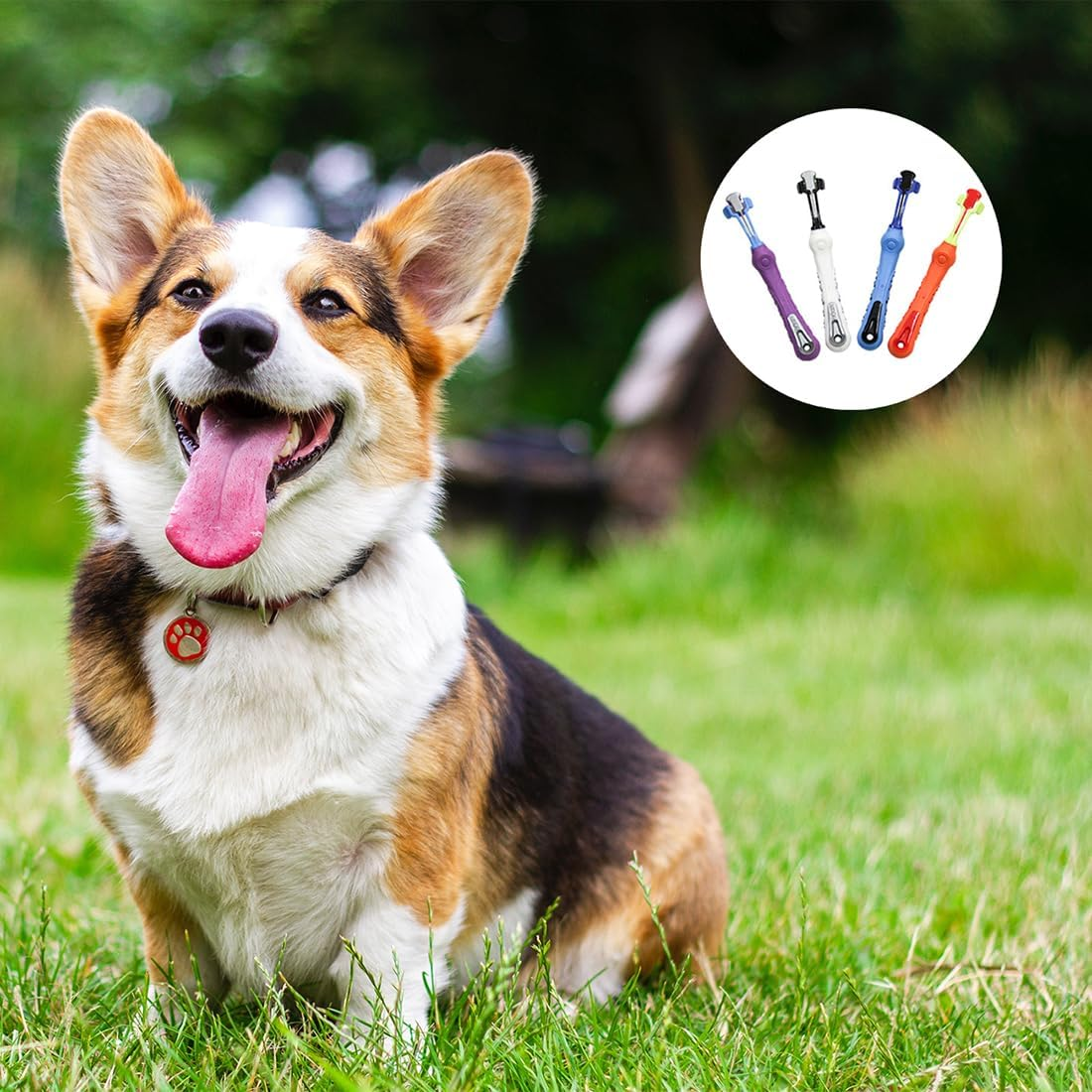 4 Pack Three Sided Pet Toothbrush Dog Toothbrush, Soft Silicone Pet Dental Care Toothbrush Cat Dog Teeth Cleaning Kit, Removing Bad Breath Tartar Teeth Care Dog Cat Cleaning Mouth image number 6