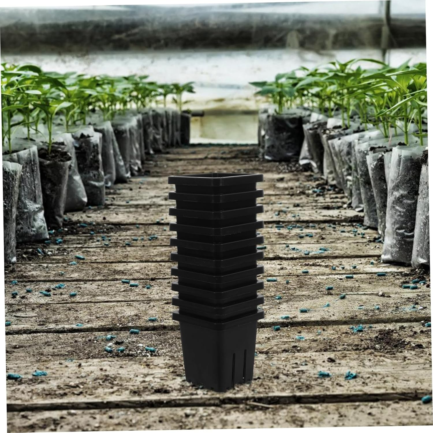 GAROZATION 10Pcs Hydroponic Basket Pots Square Plastic Mesh Plant Containers for Indoor and Outdoor Gardening Hydroponics Vegetable Growing System Accessories image number 2