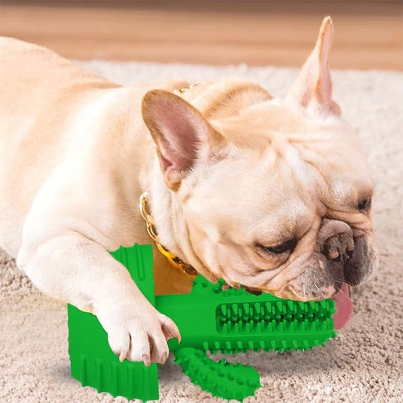 GDGZJJD Durable Dog Chew Toothbrush Stick - Interactive Dental Cleaning Toy for Medium & Large Dogs - Ideal for Birthdays, Christmas & Easter image number 4