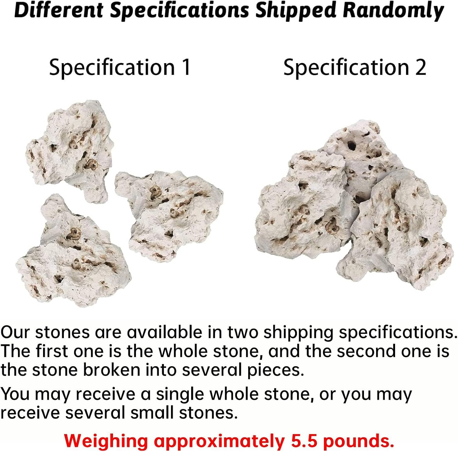 Hamiledyi Aquarium Holey Rock Stone White Coral Ornament Sea Base Rocks for Aquarium Aquascaping Natural Limestone Decor for Fish Tank Aquatic Shrimp Pet Reptile Habitat (Random Size and Quantity) image number 3