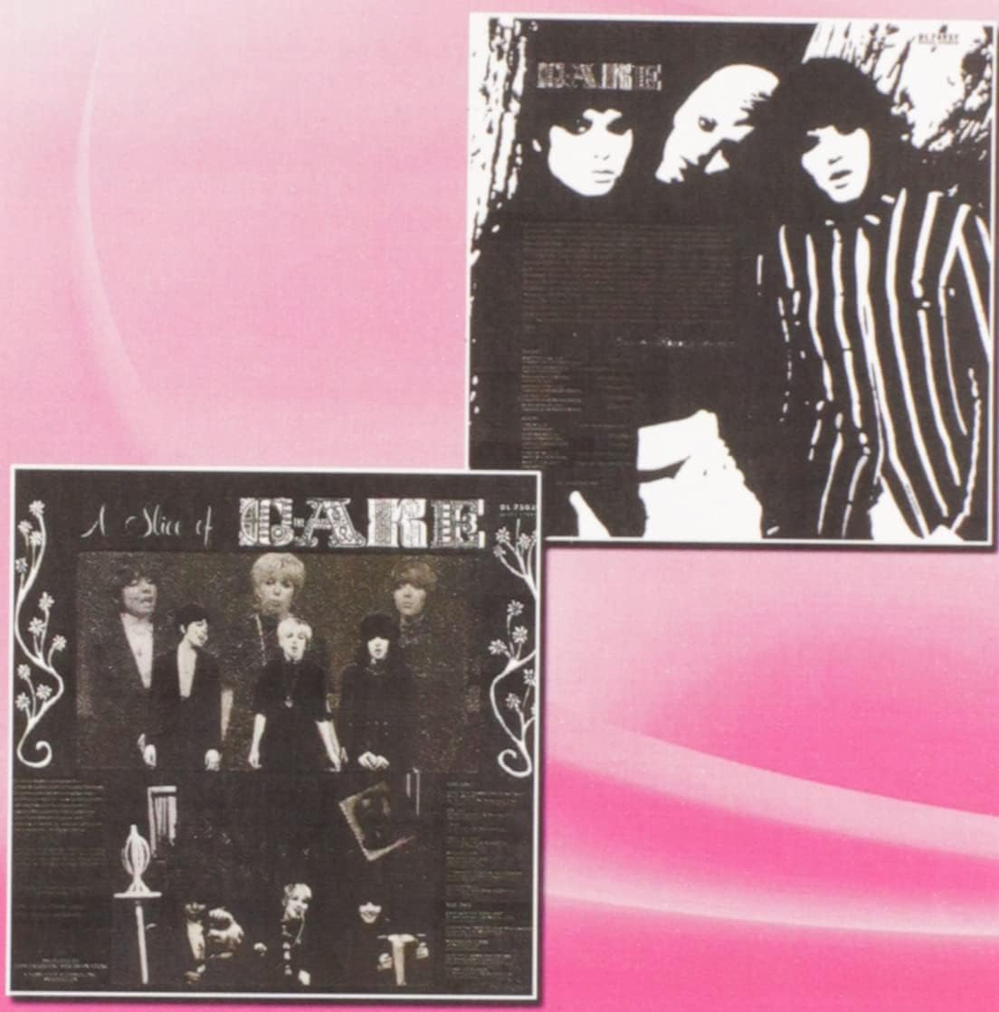 Cake / Slice of Cake