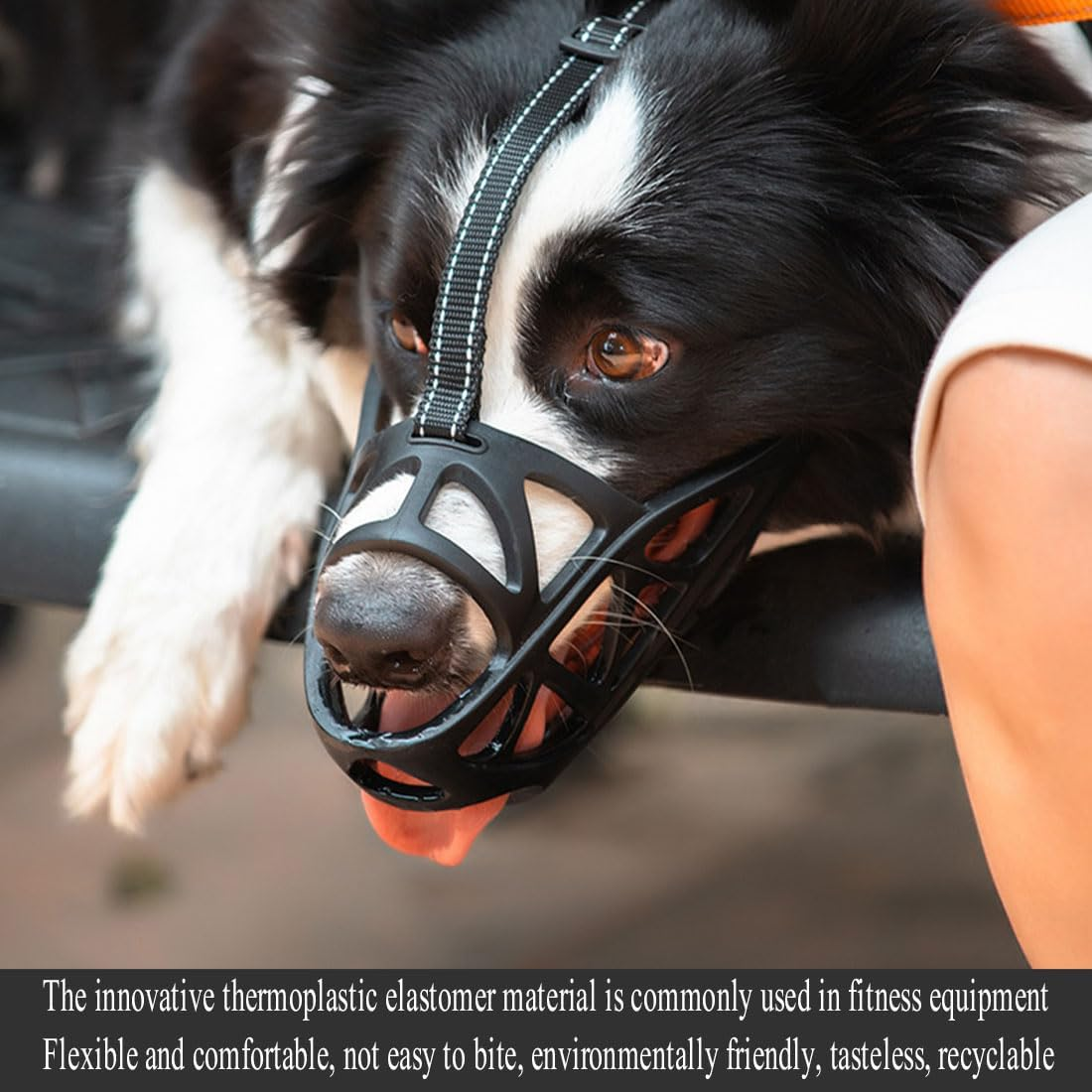 Dog Muzzle, Soft and Comfortable, Breathable Basket Muzzles,Chewing and Scavenging,Perfect for Grooming and Training Medium, Black (L)
