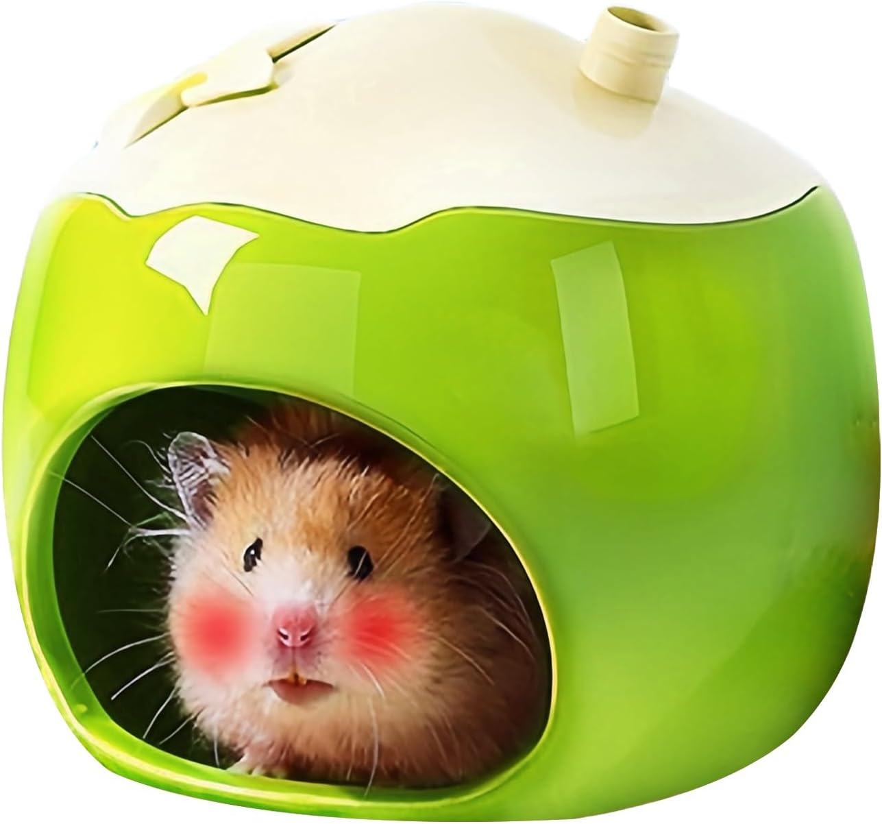 Ceramic Hamster House - Hamster Cooling Cave | Fruit Shape Small Animal Cooling Nest Habitat for Gerbils Squirrel Lemmings Hedgehog