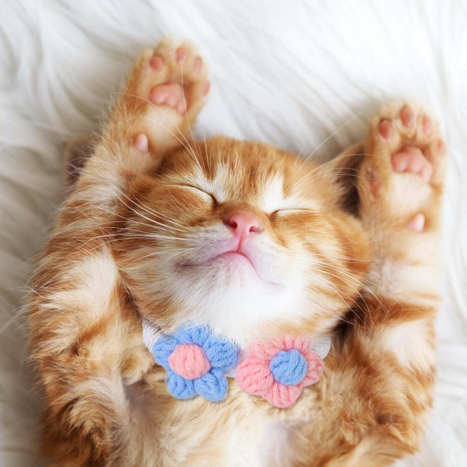 Campsis Floral Cat Collars Adjustable Tie Cat Colllar Knitted Kitten Collar for Pet Cats image number 1