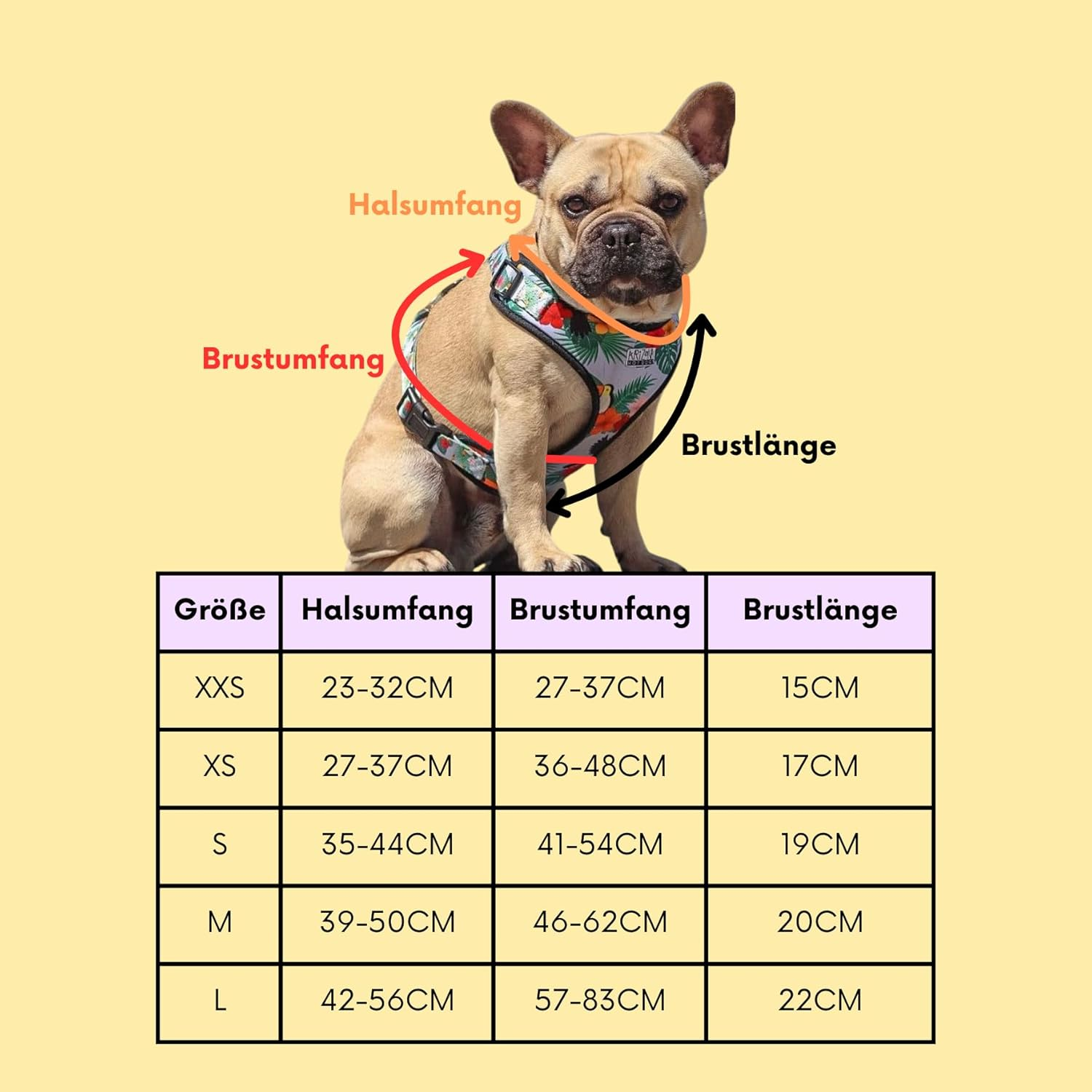 Dog Harness for Smaller Dogs Arizona Hotdogs Soft Harness Fall in Love Colourful Leaf Pattern (S) image number 5