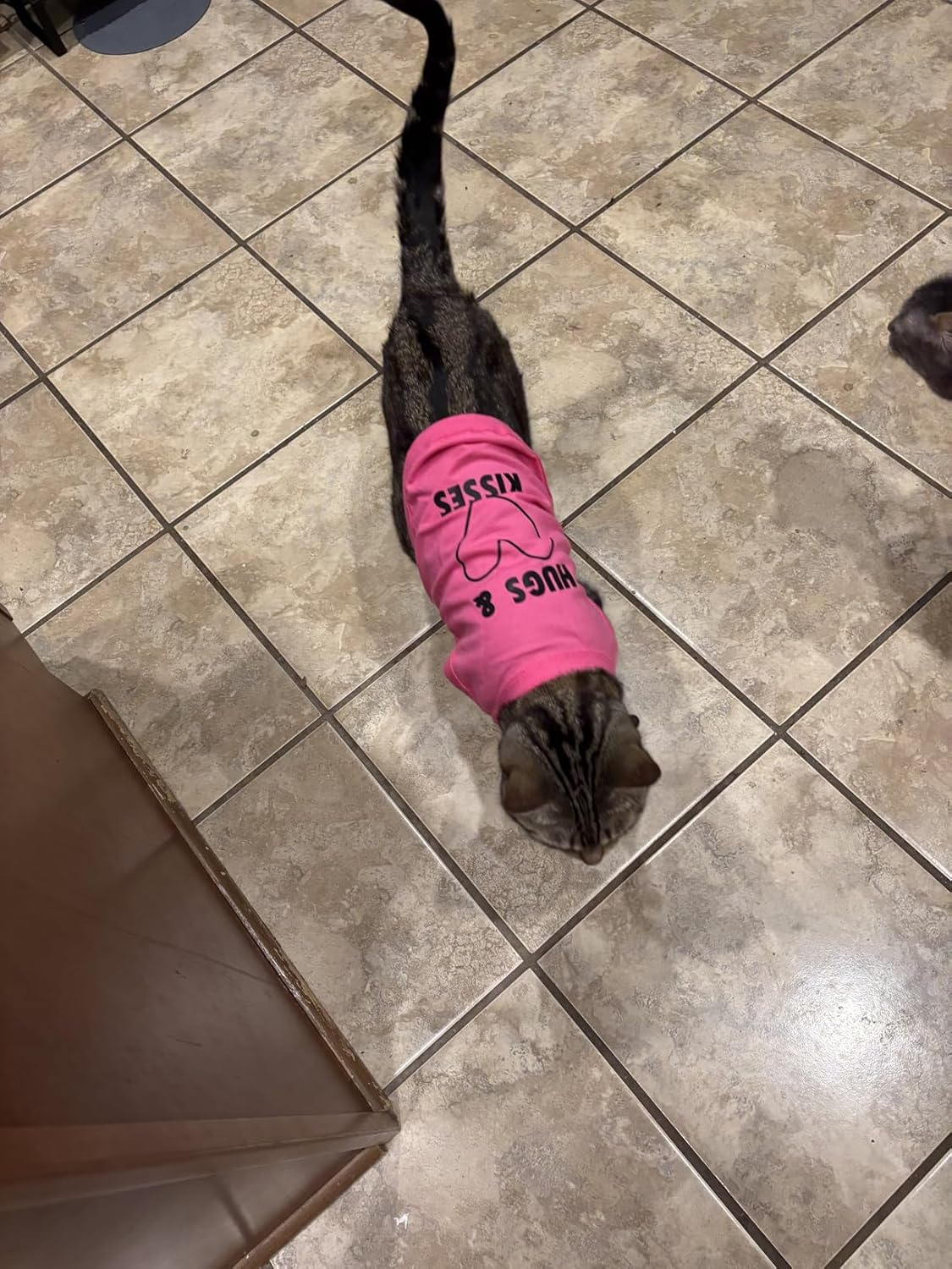 Hugs & Kisses Print Dog T Shirt, Breathable Cotton Clothes for Cats Dogs Yorkie, Pet Apparel Outfit for Birthday Valentine'S Day, Dog Lovers (Neck Girth 12.99'')