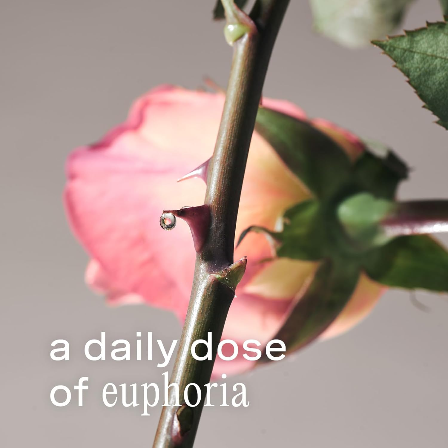 Addison Rae Fragrance Happy - Mood-Boosting Fragrance Gift Set for Women - Lychee and Pink Grapefruit Notes - Eau De Parfum and Body Spray - 2 Pc image number 5