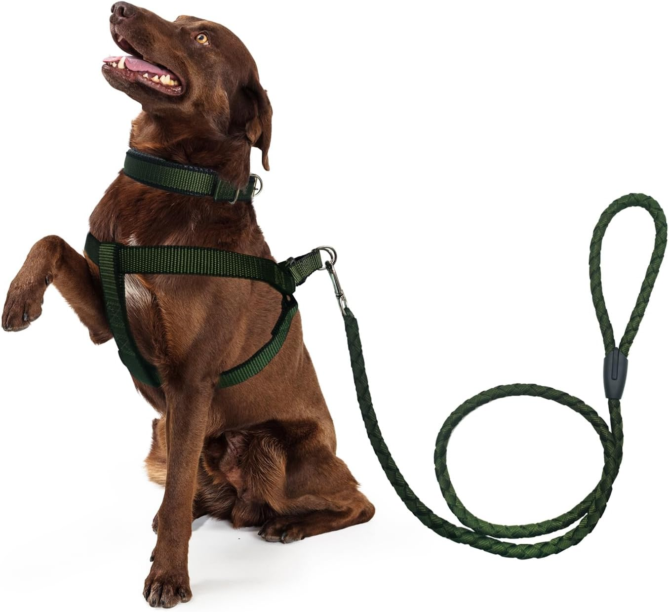 RINGSUN Dog Harness Collar Leash Set, No-Pull Adjustable Dog Lead Set with Easy Control Soft Handle for Small Medium and Large Dogs, S image number 1