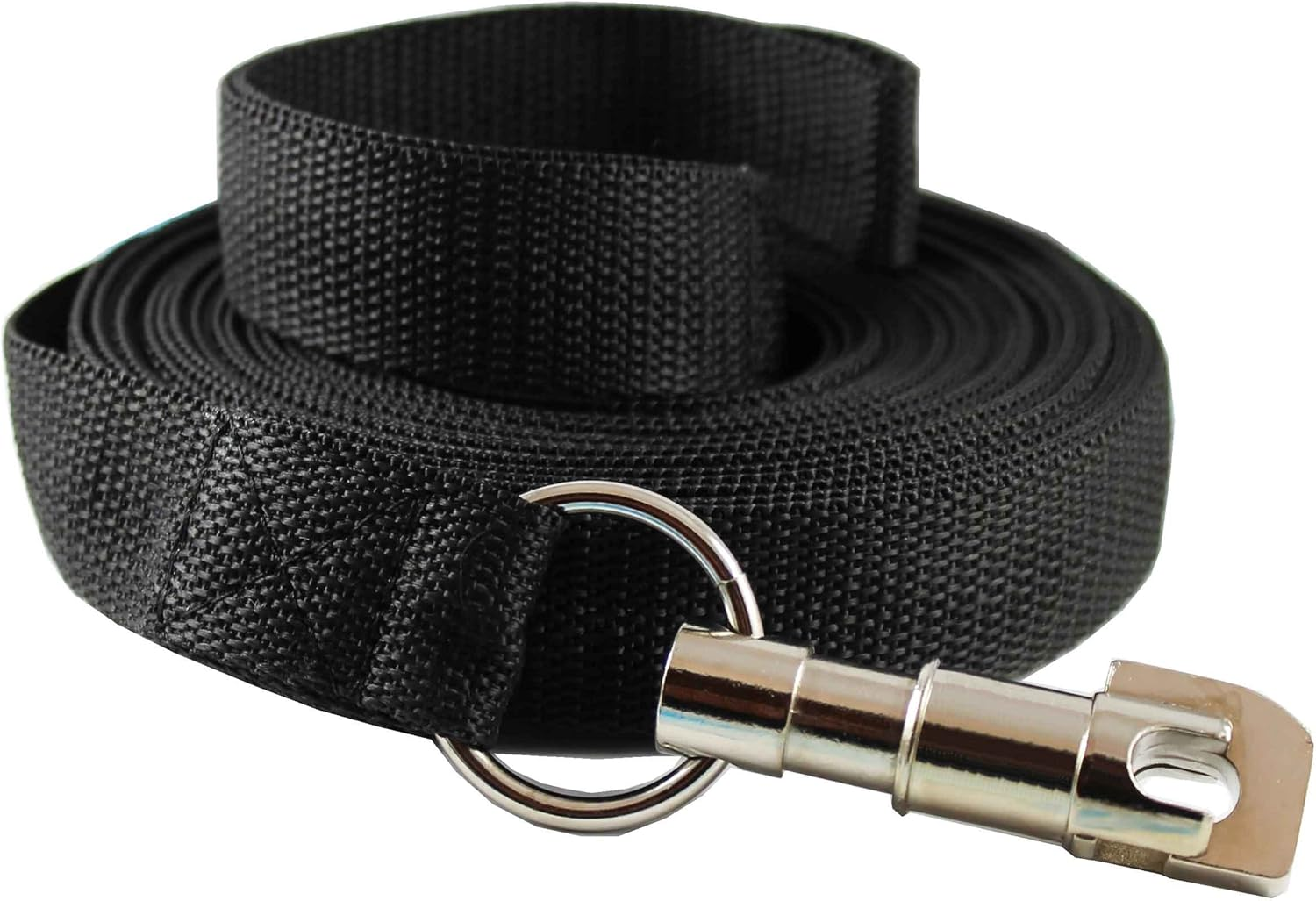 Dog Leash 1" Wide Nylon 10 Feet Extra Long for Training Secure Locking Snape Locking Snap image number 1