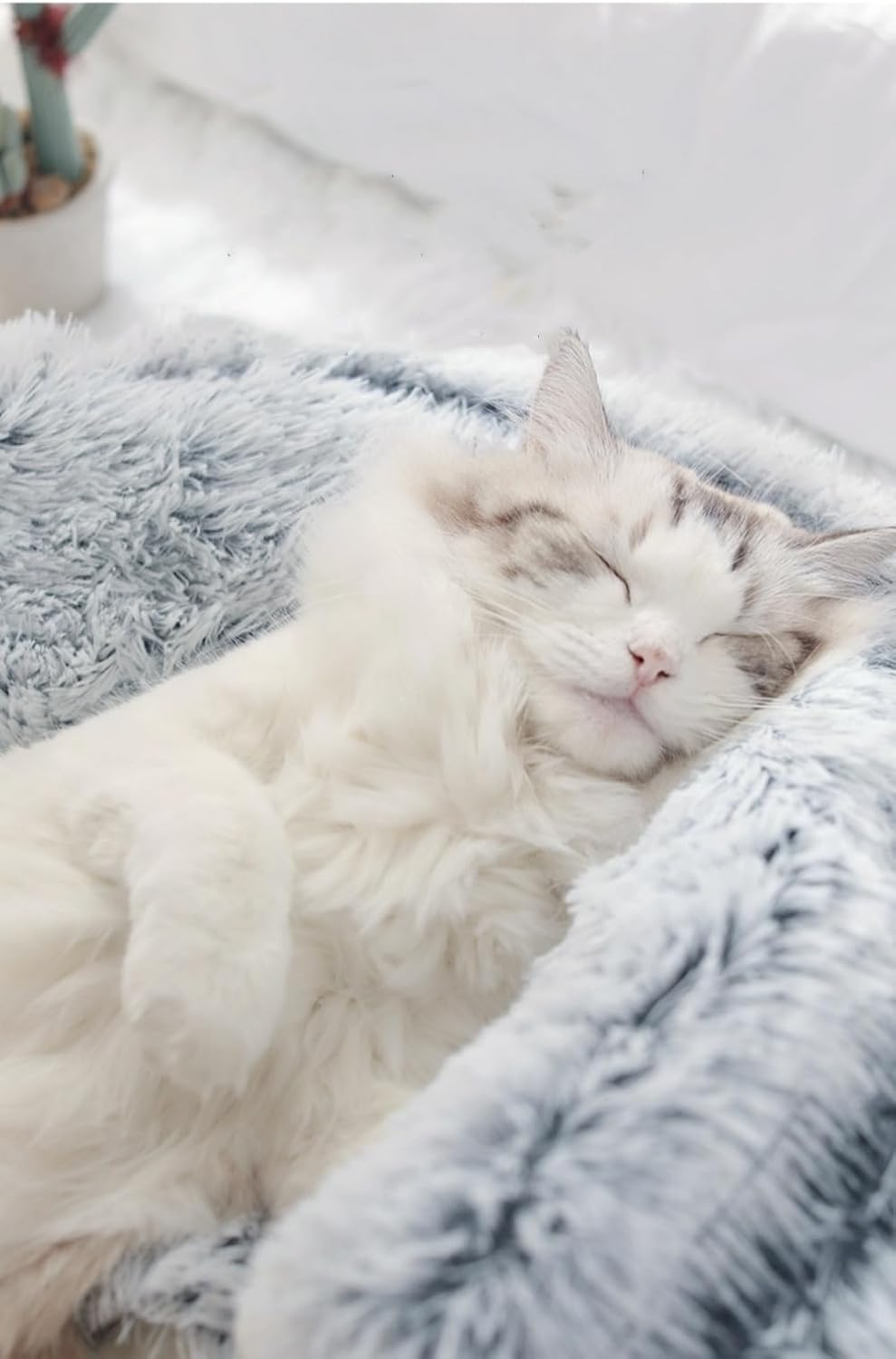 Cat Cave Bed Plush Calming for Indoor Cats Puppy, Cat Bed with Cover Cave and Thick Faux Fur, Reinforced Base for Small Pets, Machine Washable Pet Cozy Bed Cave with Non-Slip Bottom (25.6X 25.6Inch)