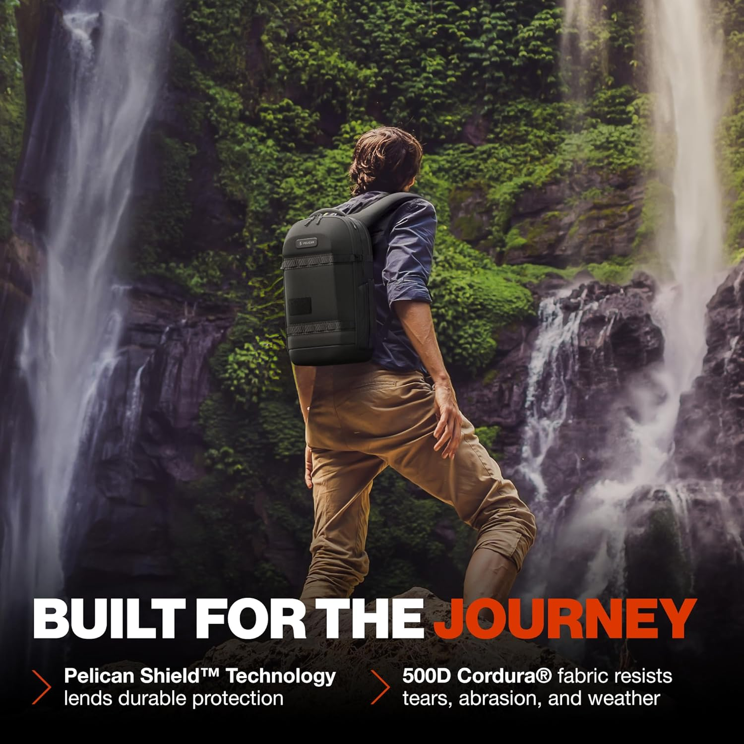 Pelican Pelican image number 7