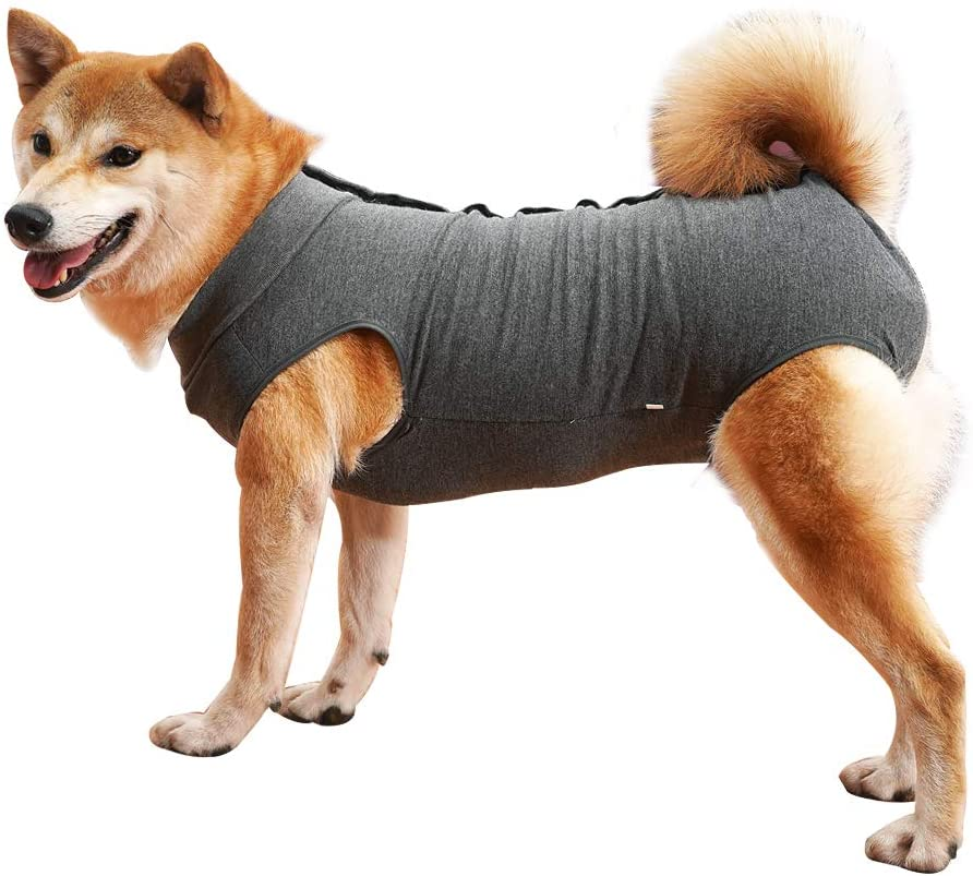 Dog Recovery Suit Abdominal Wound Protector Puppy Medical Surgical Clothes Post-Operative Vest Pet after Surgery Wear Substitute E-Collar & Cone - Grey, L