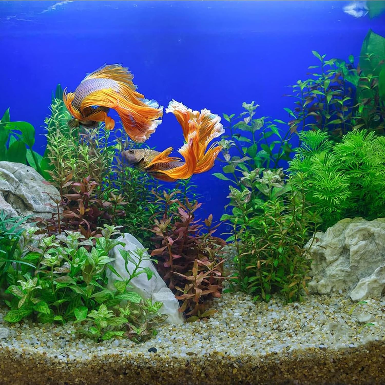 2 Pcs Aquarium Fish Tank Plants, Artificial Plastic Aquatic Plants with Rockery Base, Aquarium Decoration Accessories Aquarium Simulation Hydroponic Plants for Fish Tank for All Fish & Pets image number 5