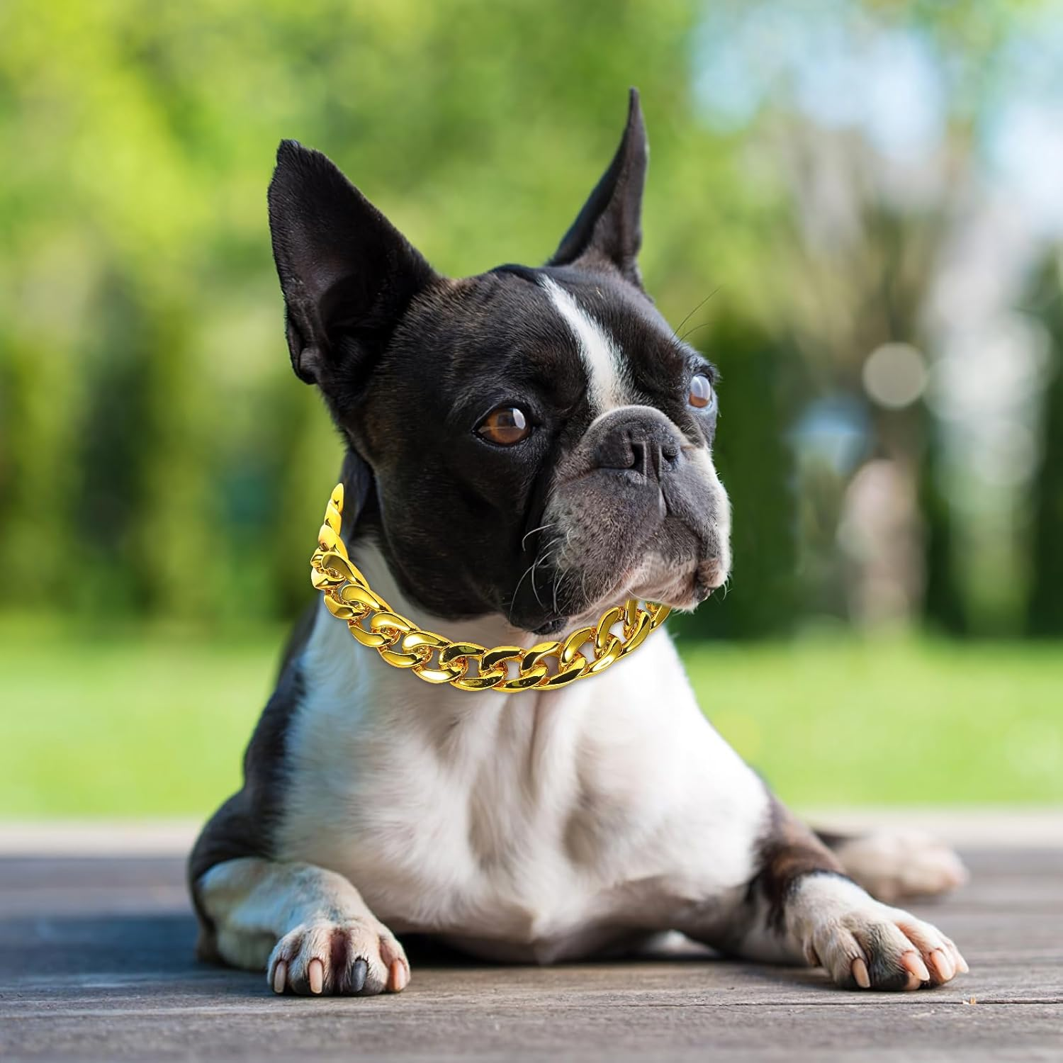 INOOMP Gold Dog Chain Collar Stainless Steel Gold Chain Pet Jewelry Necklace Pet Pendant for Small Dogs Cats Pets image number 6