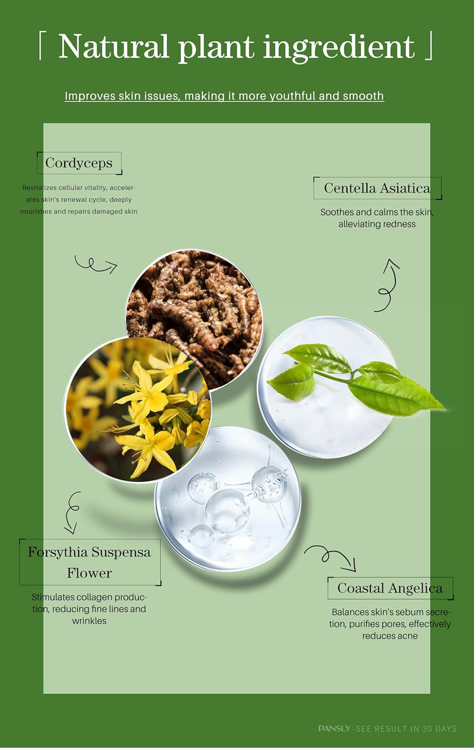 Seaweed Anti-Aging Serum, Natural Botanical Ingredients, Innovative Technology, 30Ml image number 3