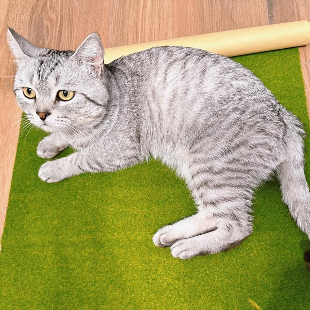 FRAINBOWZ 5Pcs Model Grass Mat,Craft Doll House Model Railway Scenery Model Nylon Flocking Turf for Model Scenery （25X25Cm） image number 1