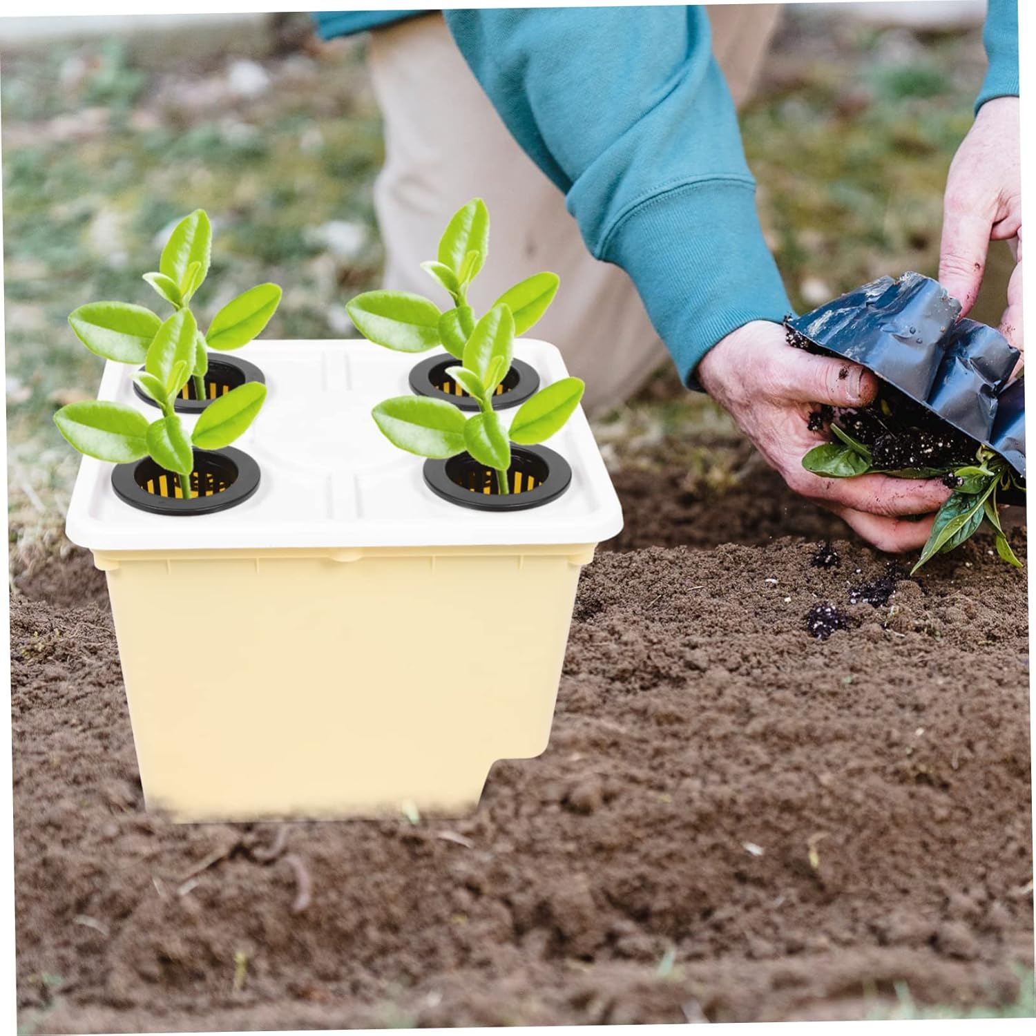 VINTORKY Hydroponic Soilless Cultivation Planting Basket for Vegetables and Fruits for Greenhouse Use Easy Maintenance and Reusable Gardening image number 3