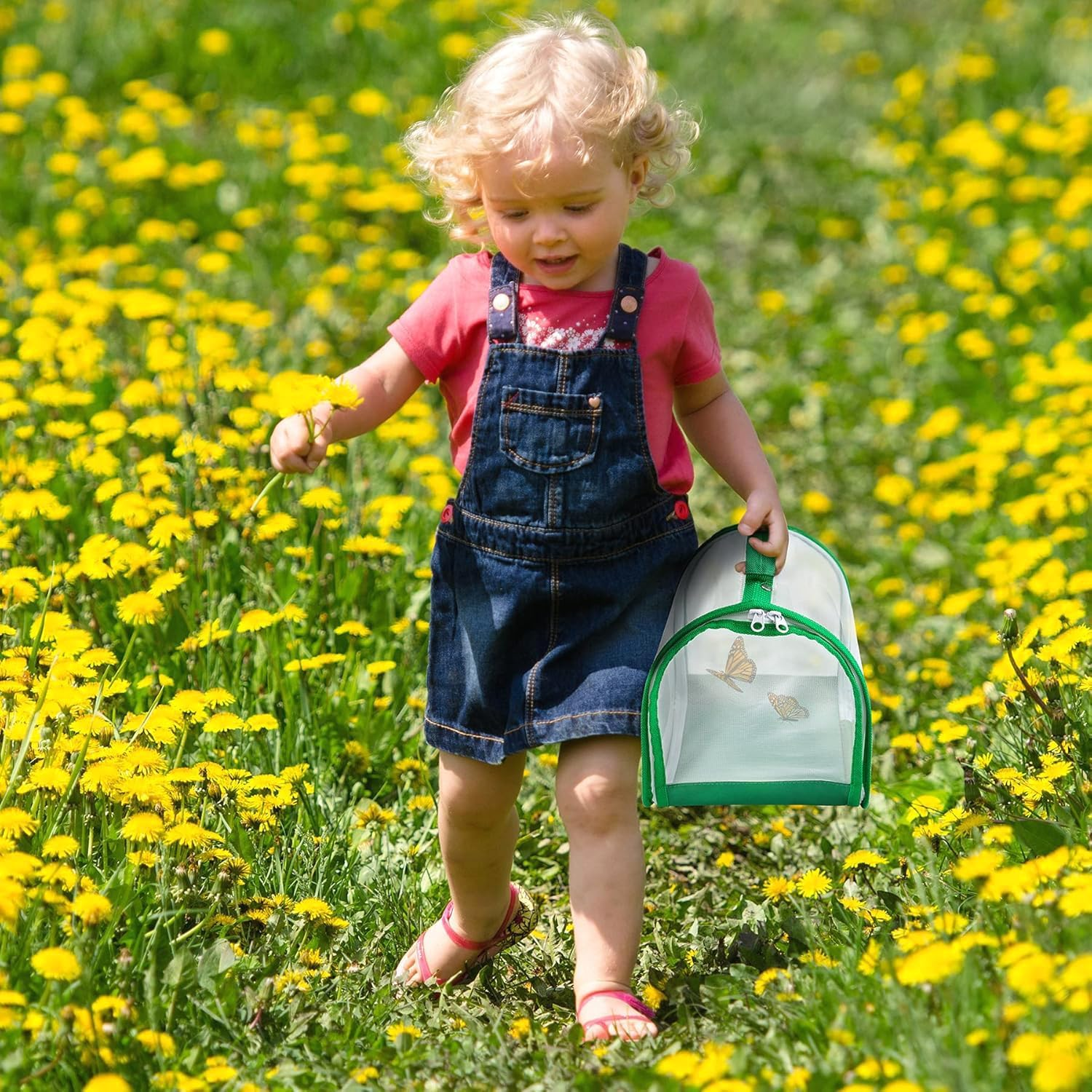 Small Butterfly Habitat, Insect Mesh Cage, Caterpillar Enclosure, Critter Cage, Bug Terrarium Portable Carry Handle Easy to Observe 20 X 20 X 20 Cm image number 6
