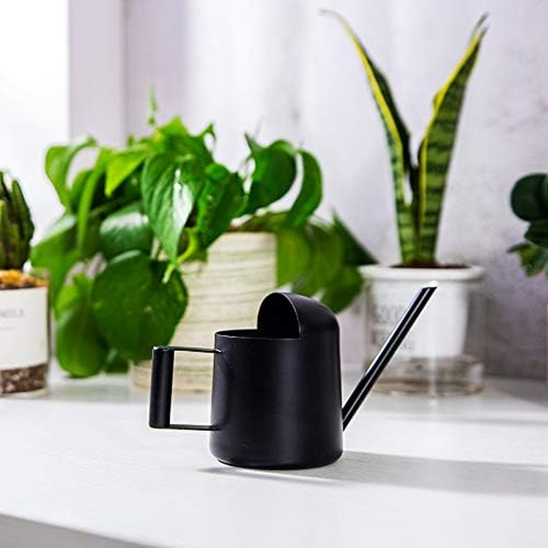 Mini Watering Can, 10Oz/300Ml Stainless Steel Long Spout Sprinkling Pot Small Watering Can for Plants, Garden Watering Pot for Indoor Outdoor Flowers, Succulents (Black) - Green image number 5