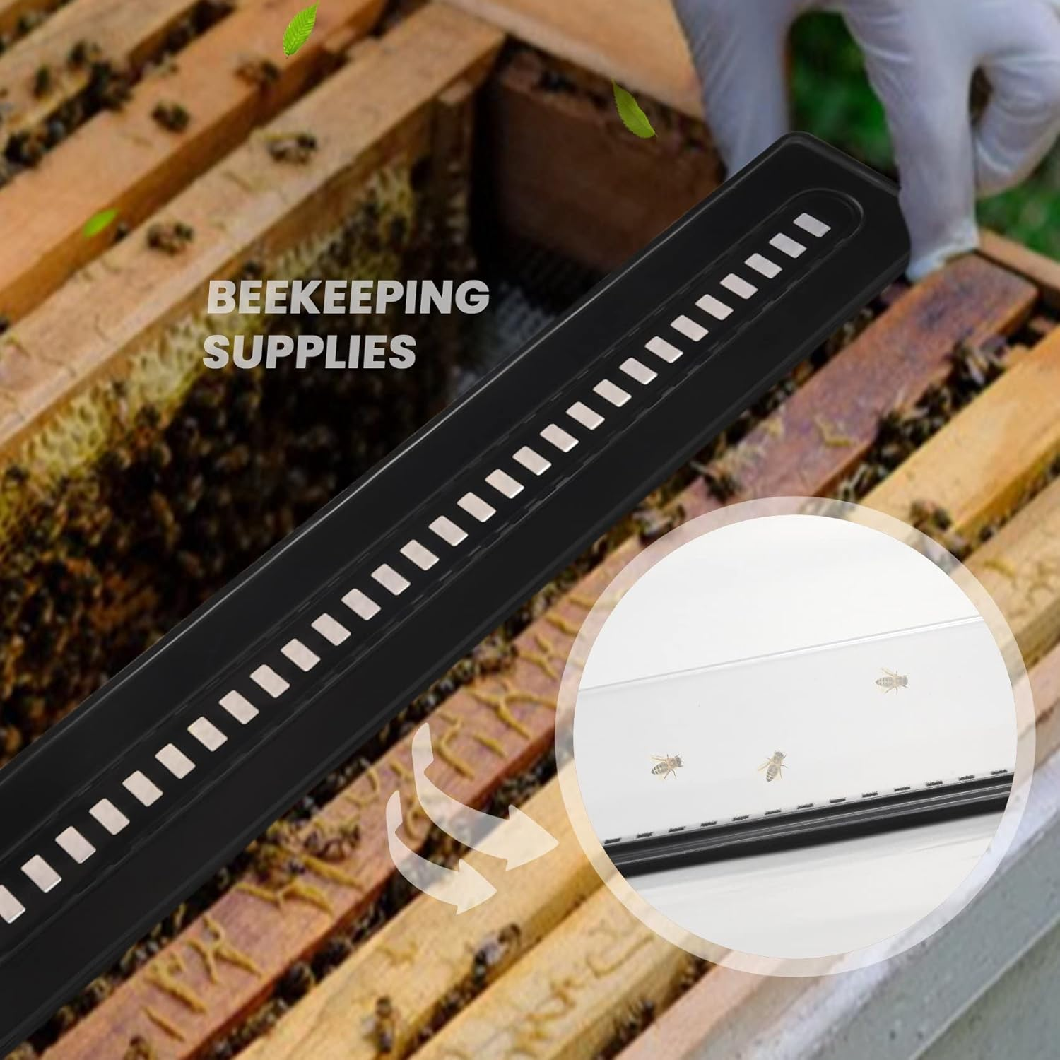 12 Pack - Traps for Naturally Catching Small Hive Beetles Bee Hives without the Use of Any Chemicals Or image number 5