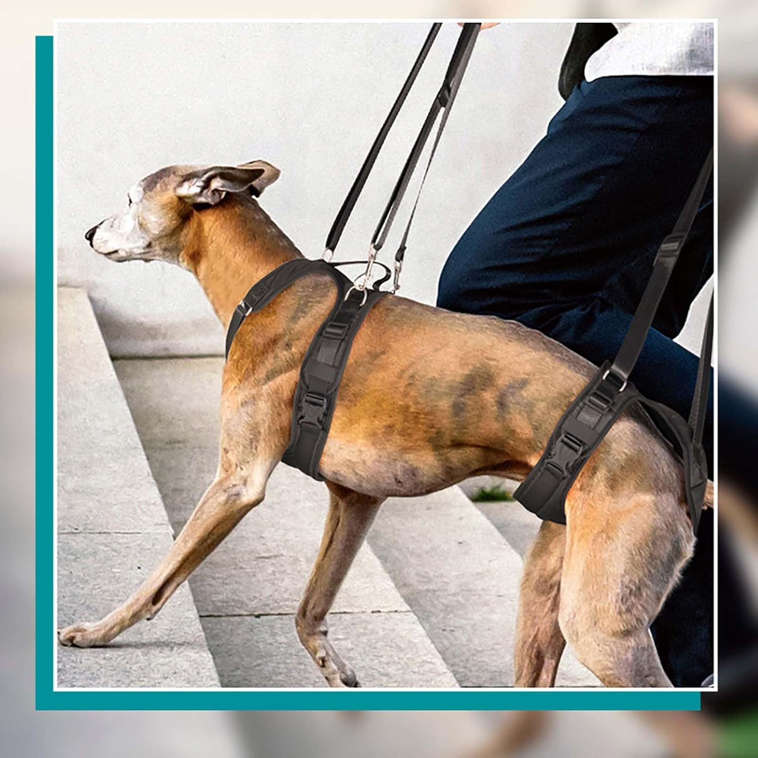 UOSIA Dog Lift Harness Split Dog Support & Recovery Sling Pet Rehabilitation Lifts Vest with Adjustable Straps Front and Rear Legs Support for Old Dog Walk image number 4