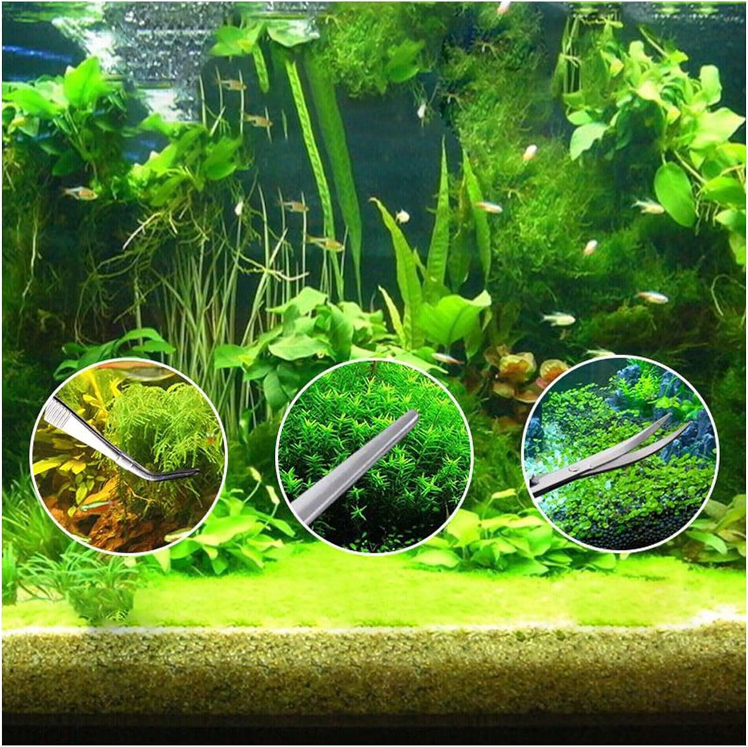Aquascaping Tools 5 in 1 Kit Aquarium Scissors Plant Tools Curved & Straight Scissor Tweezers Spatula Stainless Steel anti Rust Aquascape Tools for Fish Tank image number 6