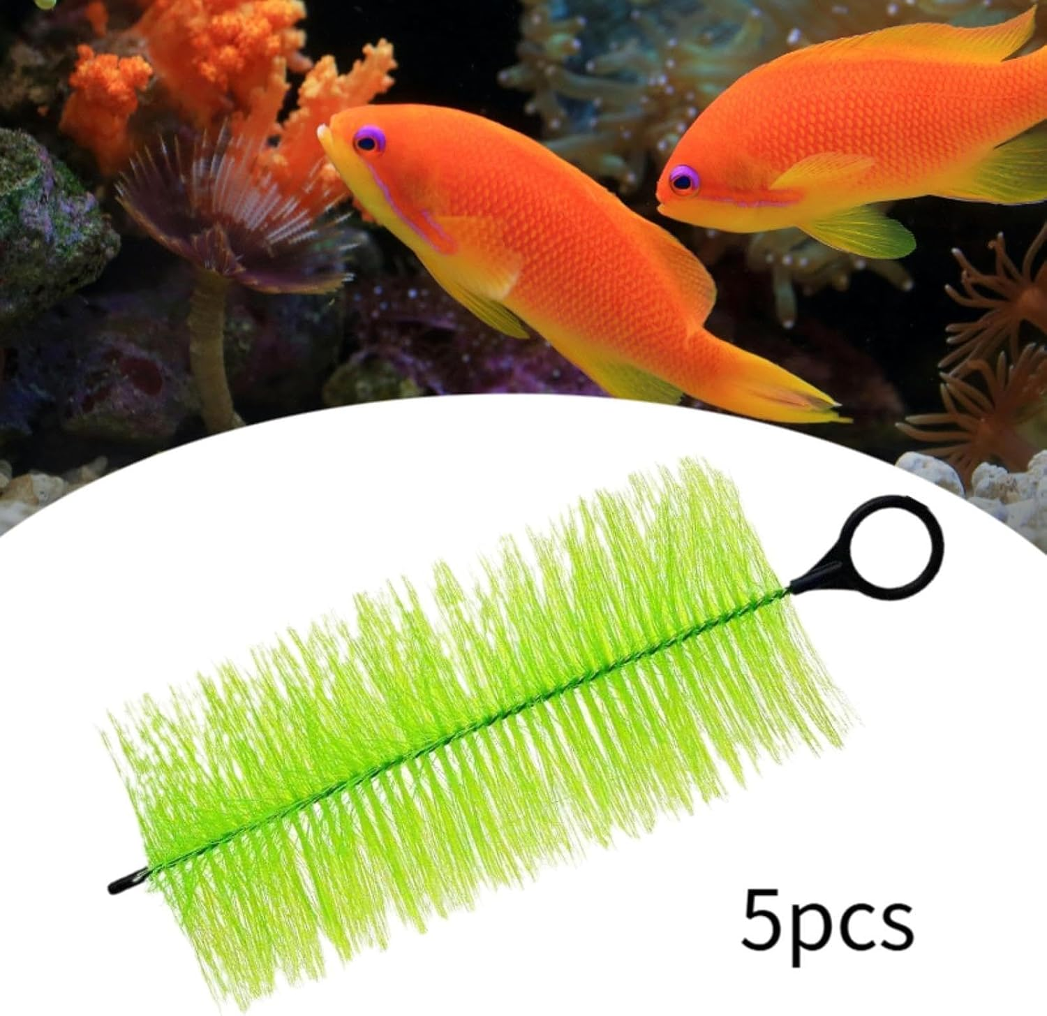 Fenteer Premium Fish Pond Filter Set for Crystal Clear Water in Aquariums, 50Cm