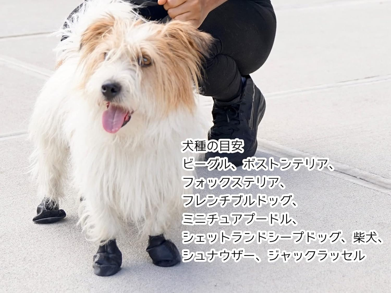 PAWZ Rubber Dog Boots Japanese Limited Package Black S X 12 Pieces image number 1