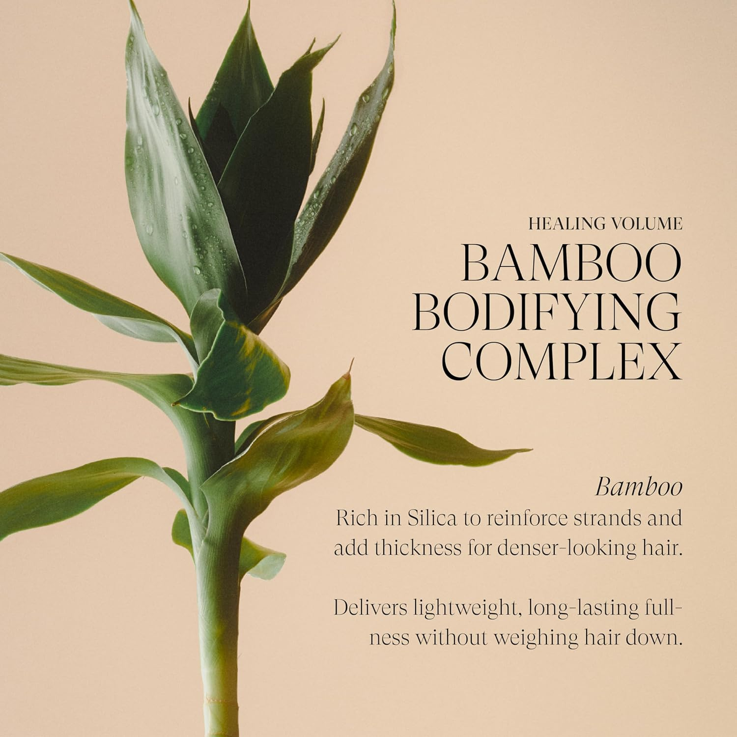 L'ANZA Healing Volume Thickening Shampoo (300 Ml), Gives Fine and Flat Hair Shine, Volume and Density, Rich in Bamboo Bodifying Complex and Keratin, Volume Shampoo