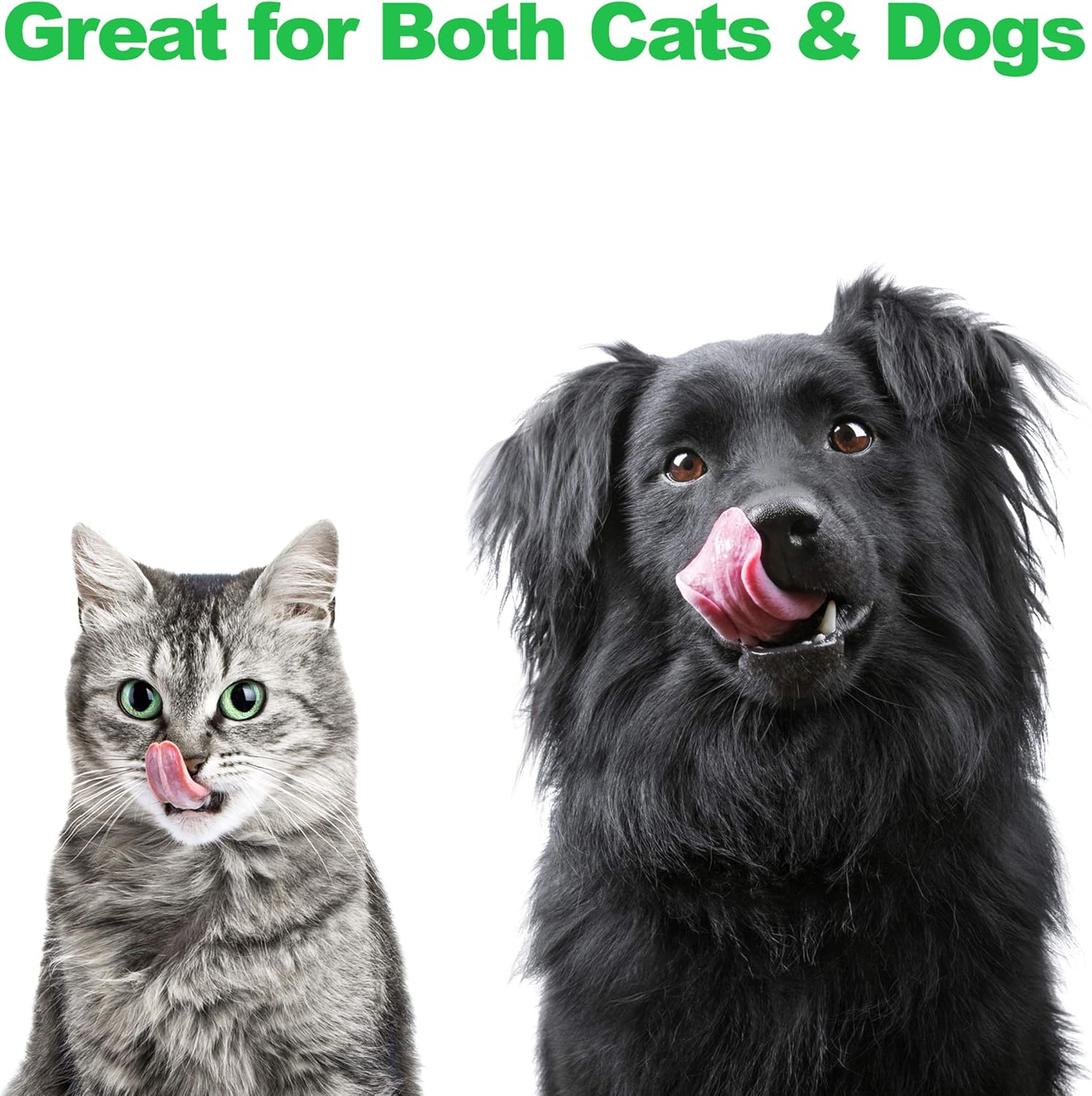 Elevated Dog and Cat Bowls - Decorative 6.5-Inch-Tall Raised Stand with 2 Stainless-Steel Food and Water Bowls - Hold 40Oz Each by PETMAKER (Black) image number 6