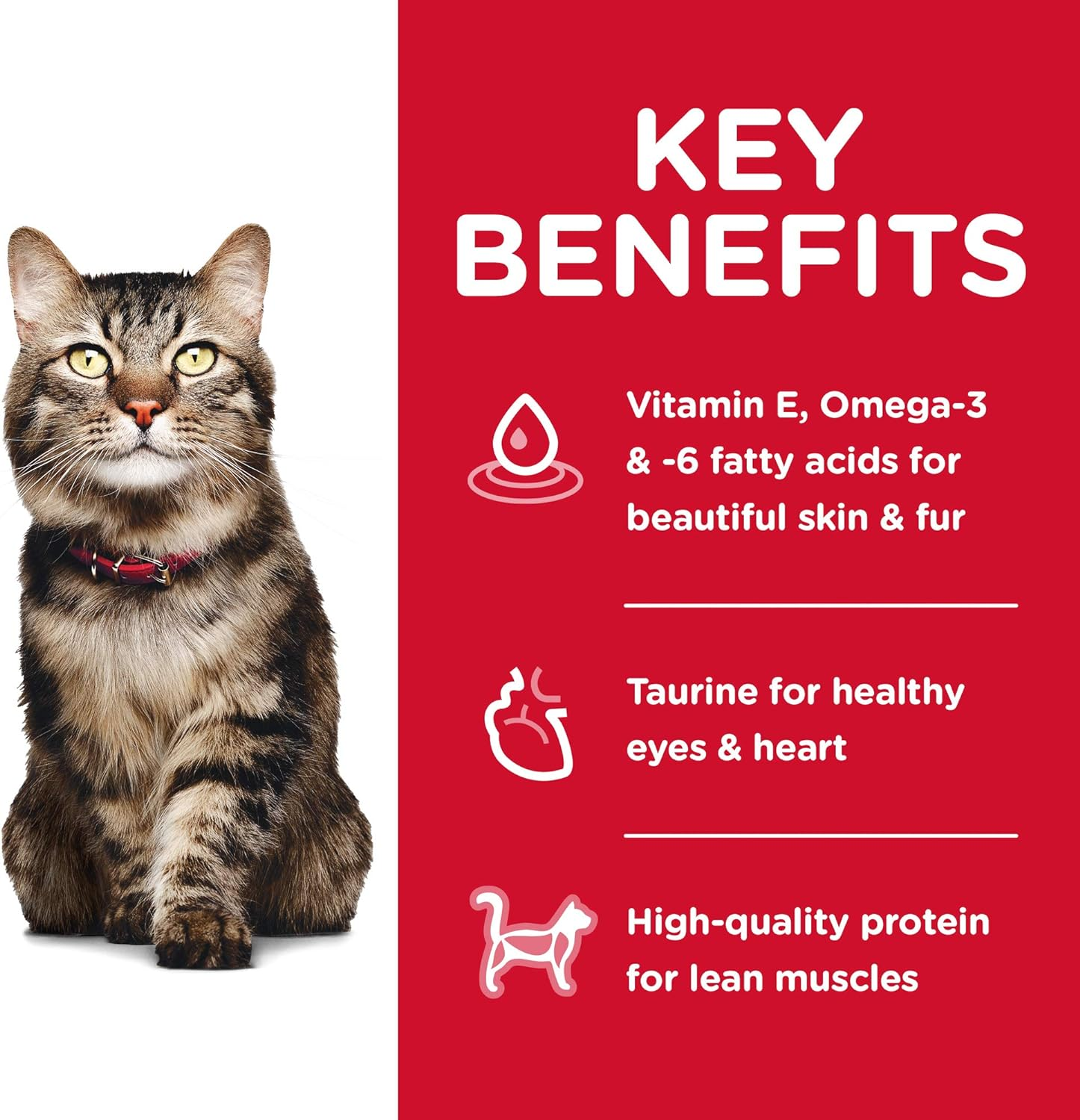 Hill'S Science Diet Hairball Control Senior Adult 7+, Chicken Recipe, Dry Cat Food for Older Cats, 2Kg Bag image number 1