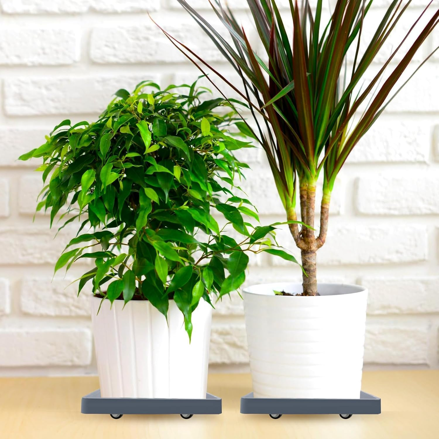 2PCS Square Plant Caddy with Hidden Wheels, Heavy Duty Plant Caddy with Wheels Plant Dolly, Pot Base for Plants Indoor Outdoor, Gray,Rolling Plant Stand with Wheels,Plant Pot Trolley, 9.96 Inches