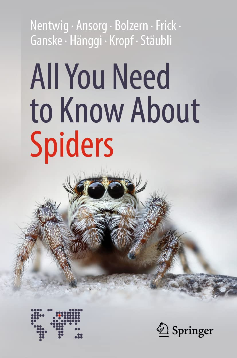 All You Need to Know about Spiders