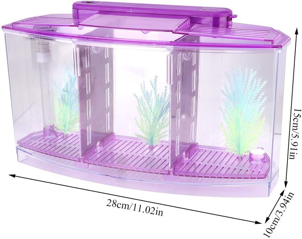 Three Areas Small Aquarium, Transparent Fish Tank, Desktop with Water Change Valve with LED Light for Betta Small Fishes(Purple 11X3.9X5.9In) image number 2