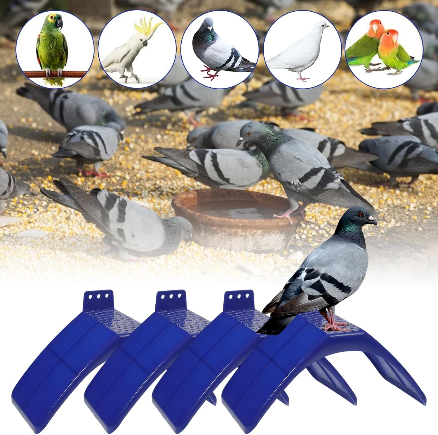 Set of 4 Pigeon Trays, Plastic Bird Pigeon Stands, Dove Seating Board, Seat Board for Pigeons, Parrots and Other Birds, Roost Bird Supplies Accessories, 20 X 10 X 12 Cm, Blue image number 1