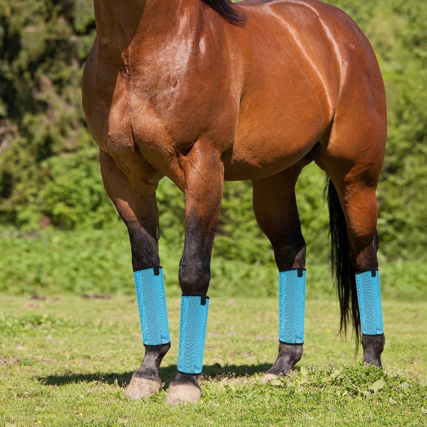 HSHGZSR 4Pcs Mesh Fly Boots for Horses 18.5&times;14.6 Inch Breathable Mesh Horse Boots Protective Horse Leg Wraps Horse Leggings Flies Fly Boots for Preventing Flies and Mosquitoes Bites image number 3