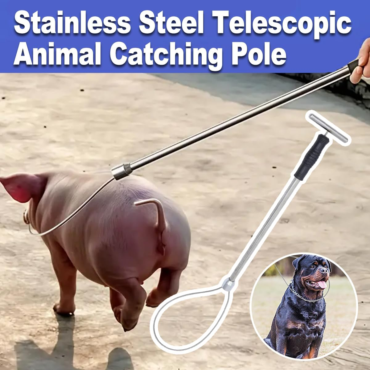 AIMALL Stainless Steel Pig Catcher Set with T-Handle Retractable Rod 28.34In Noose and 24.40In Pole Strong Wire Rope Restraint Tool for Hog Handling and Mouth Control image number 3