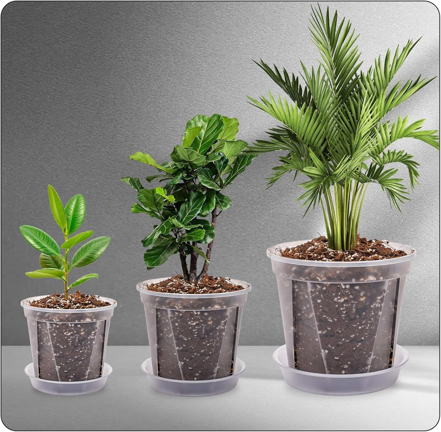 4 Pcs Clear Orchid Pots, 10Cm (3.9 Inch) Small Plastic Pots with Holes and Saucers for Plants, Breathable Slotted Plant Pot with Tray image number 6