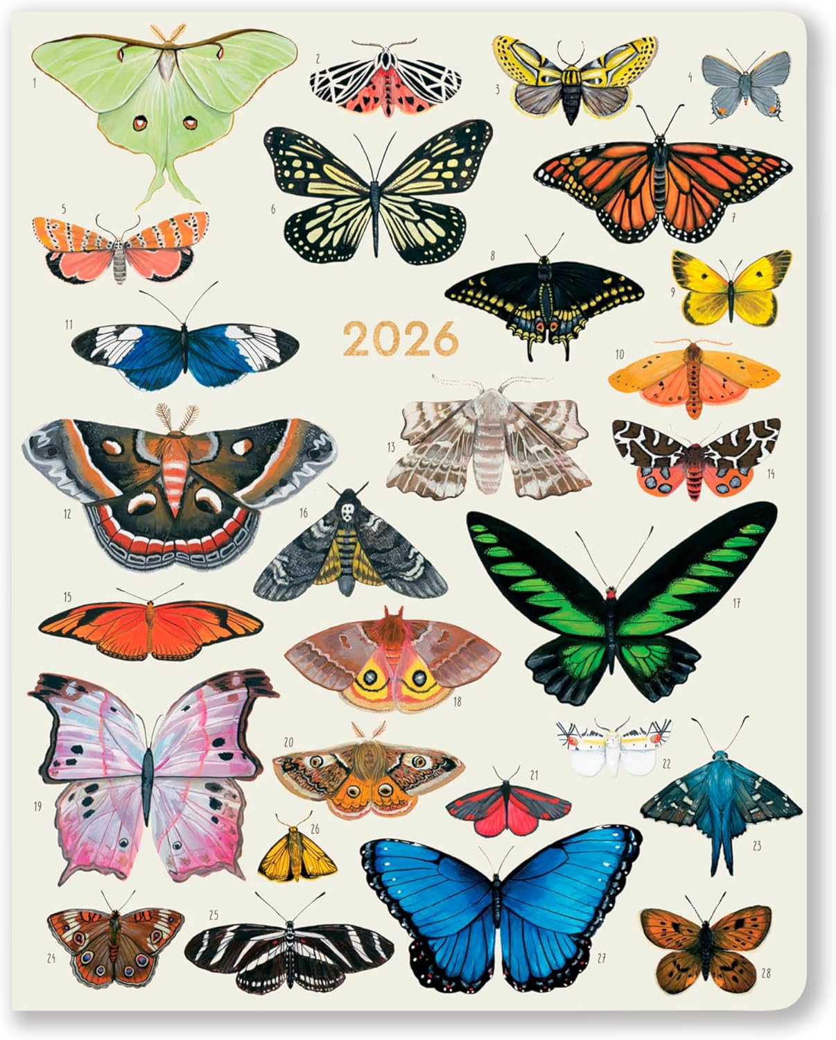 High Note 2026 Monthly Planner 17-Month Planner: August 2025 to December 2026, 7.75" X 9.75" - Orders of the Animals image number 5